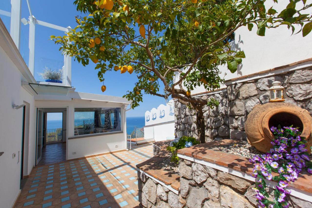 Villa Venus In Penisola Sorrentina Massa Lubrense Exterior foto
