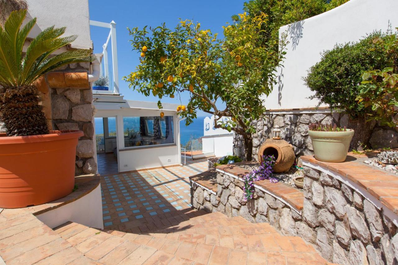 Villa Venus In Penisola Sorrentina Massa Lubrense Exterior foto