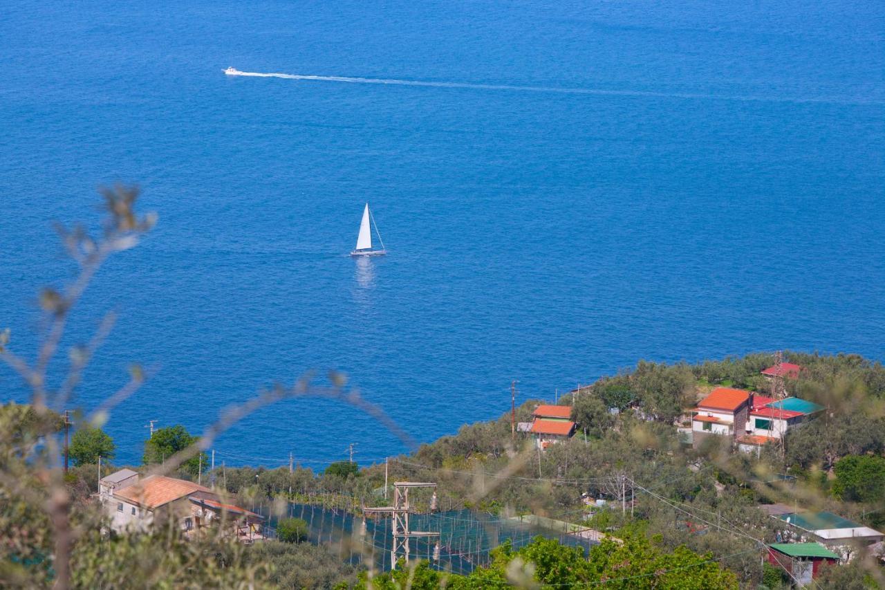 Villa Venus In Penisola Sorrentina Massa Lubrense Exterior foto